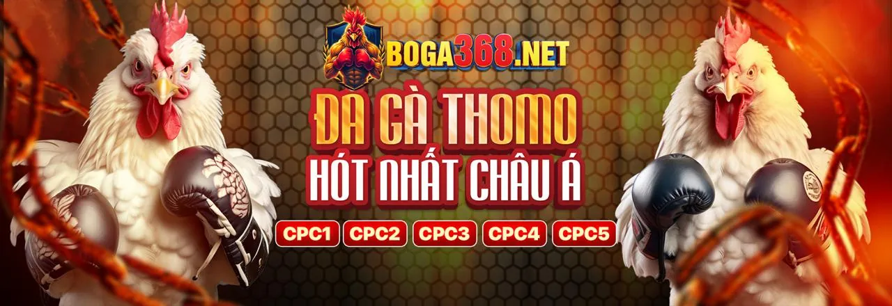 Đá Gà 789f Login – Sân Đấu Trực Tuyến Hấp Dẫn